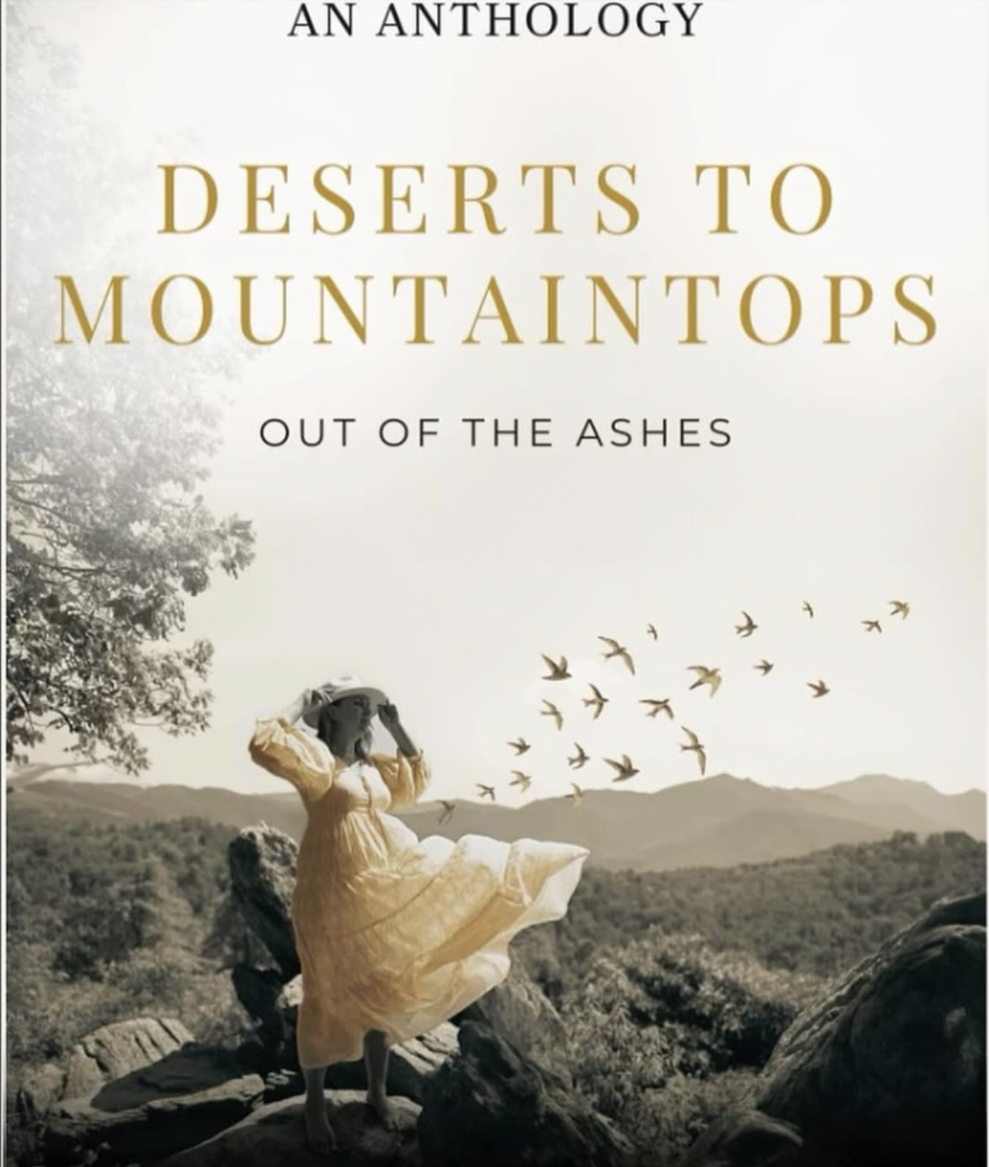 Deserts To Mountaintops